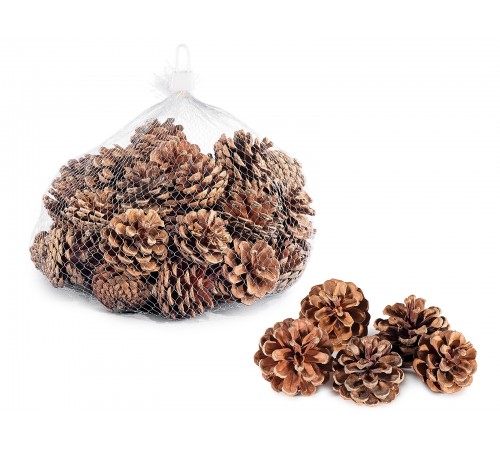 Pigne Decorative Naturali per Addobbi Natalizi, Confezioni Regalo, Lavori Fai da Te
