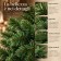 Albero di Natale Artificiale 180 cm Folto 1274 Rami, in ambiente natalizio