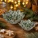 Set 2 Coppette a Stella di Natale Bianca in Ceramica, in ambiente natalizio