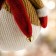 Set 4 Personaggi di Natale in Stoffa da Appendere 17 cm, in ambiente natalizio